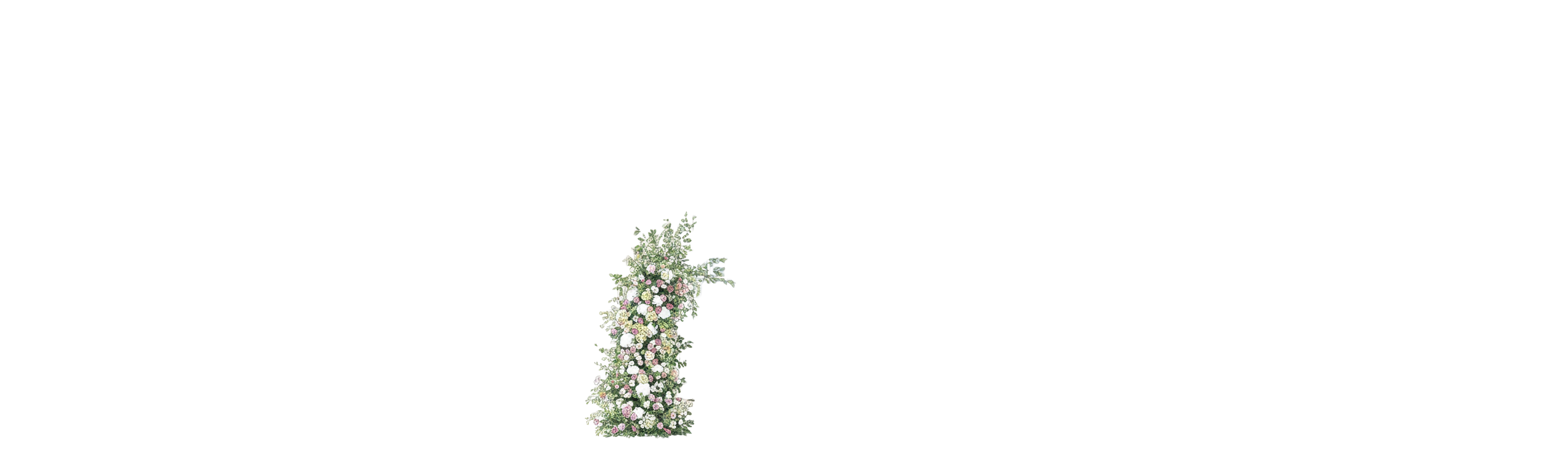 Left background flowers